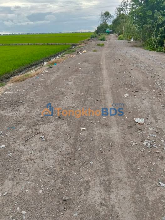 Đất nông nghiệp Nam Thái 3ha 42 tỷ - Sổ đỏ chính chủ