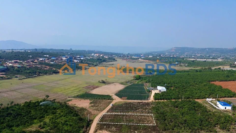 Đất nền Tân Hà Lâm Hà 452m² 520 triệu - Xây dựng tự do