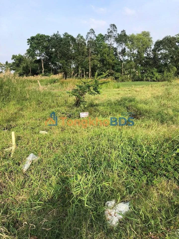 Đất thổ cư Minh Lương 98m² 900 triệu - Thổ cư 100% chính chủ