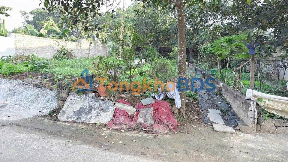 Đất nền Thanh Mỹ Sơn Tây 102m² giá 1.8 tỷ - Pháp lý rõ ràng