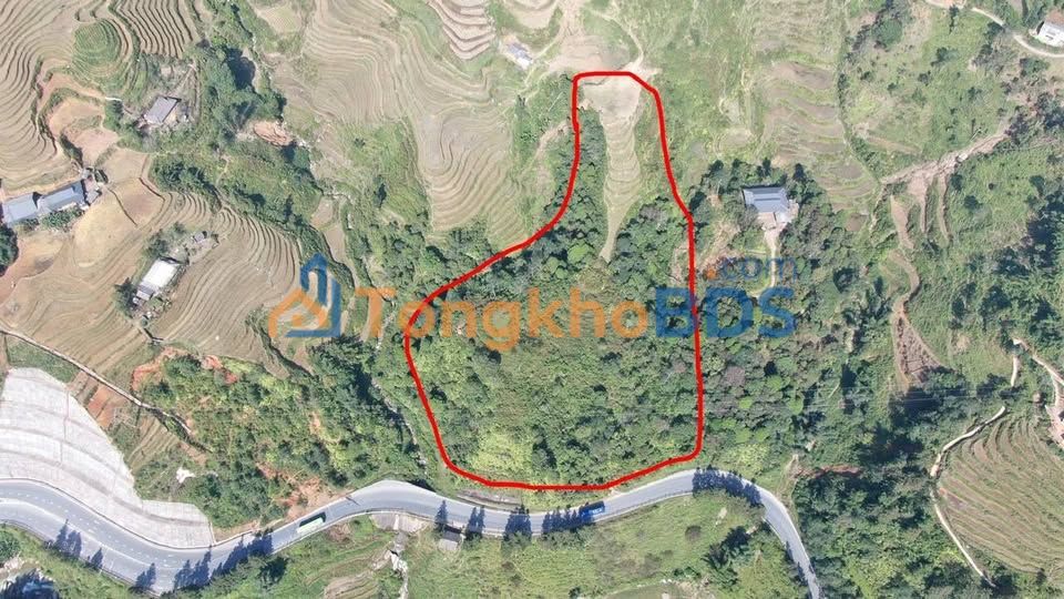 Đất nền Quốc lộ 4D Sa Pa 2ha 1 tỷ - Sổ đỏ chính chủ