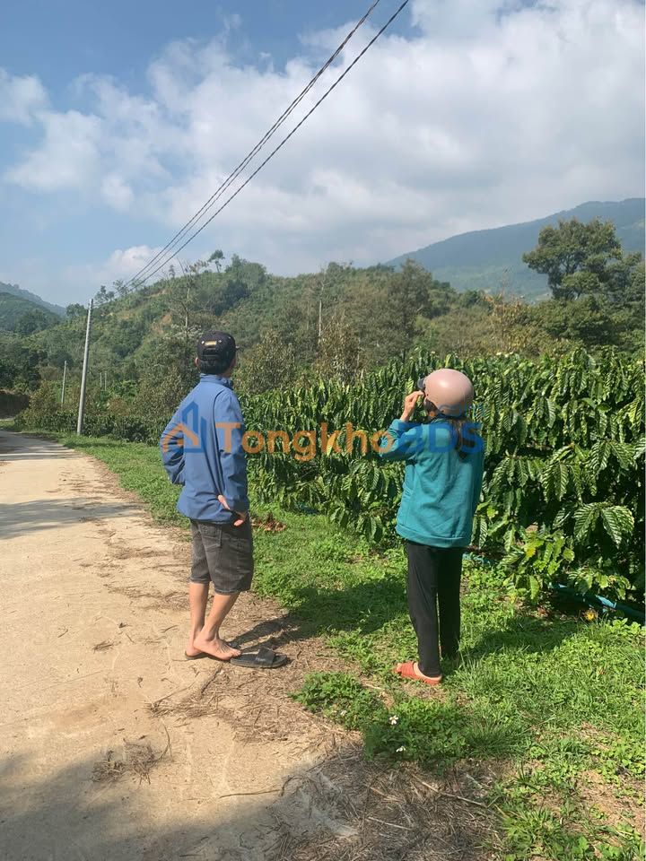 Đất vườn Lộc Nam Bảo Lâm 1.1ha 3.5 tỷ - Sổ đỏ chính chủ