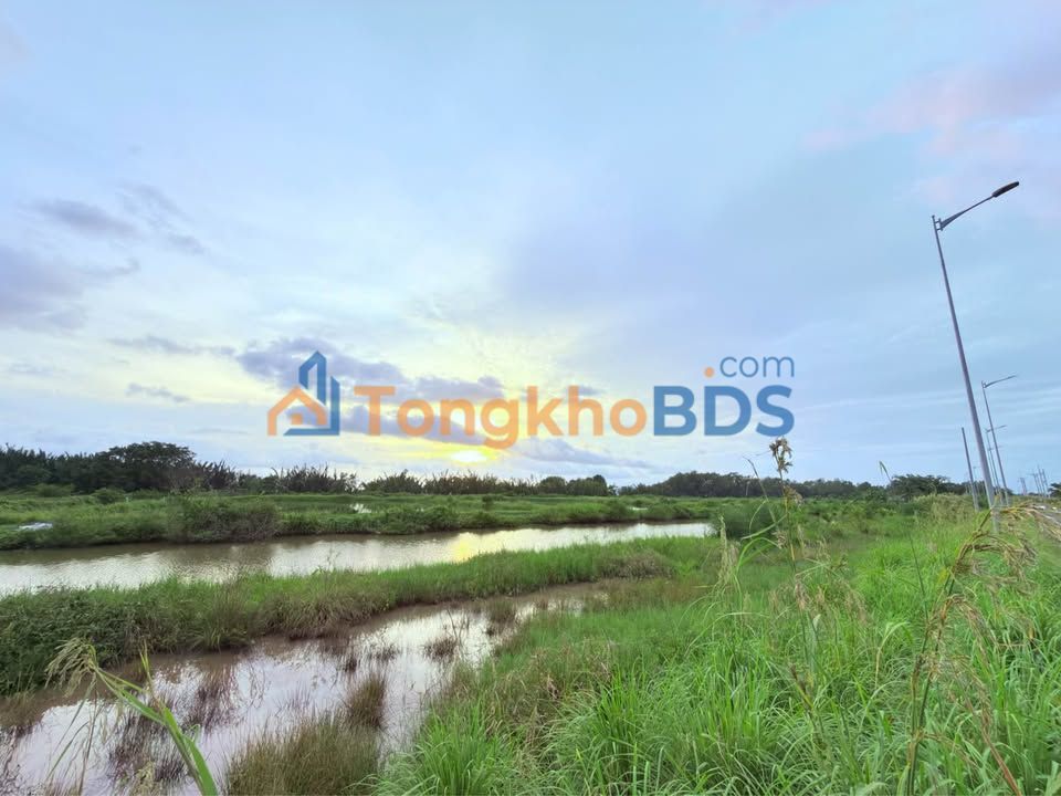 Đất Đê Quốc Phòng Sóc Sơn 7 công 7000m² giá thương lượng - Sổ đỏ chính chủ