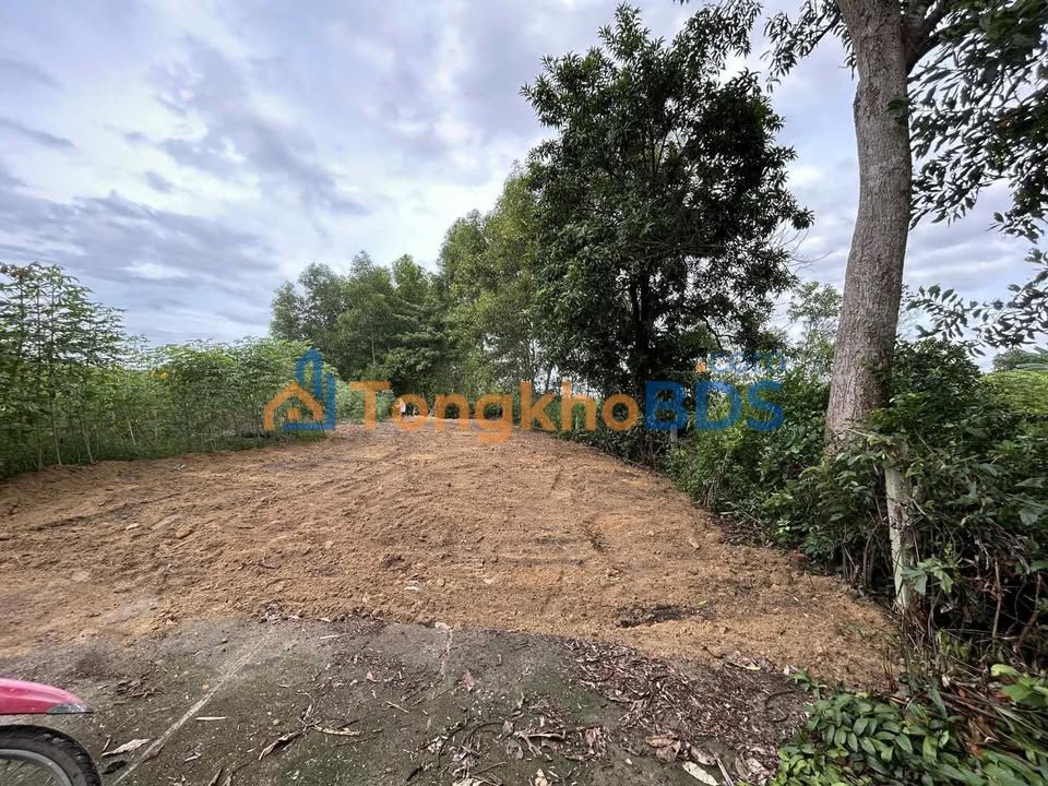 Đất nền Quế Xuân 2 280m² 3xx triệu - Đất thổ cư 100%