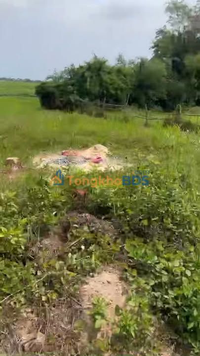 FrontHouse Quế Xuân 1 5x24m 4xx triệu - Sẵn sàng ở ngay