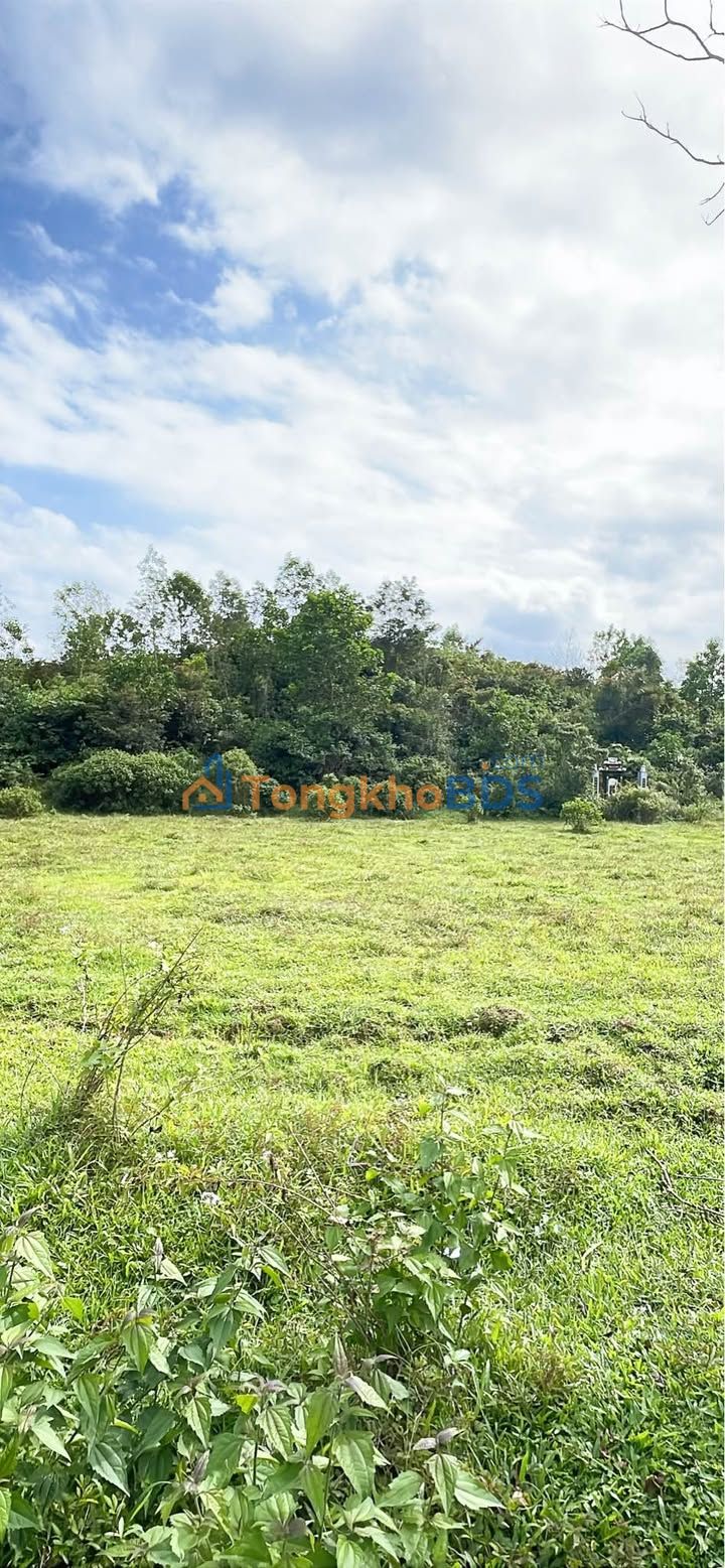 Đất vườn Hòa Phú Đà Nẵng 80.000m² 38 tỷ - Nghỉ dưỡng lý tưởng