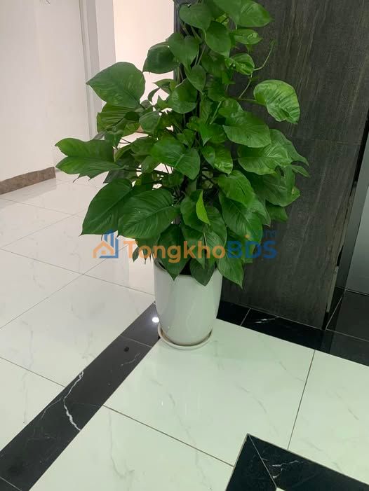 Căn hộ Vinaconex 7 Hoàng Mai 87m² 7 tỷ - View đẹp