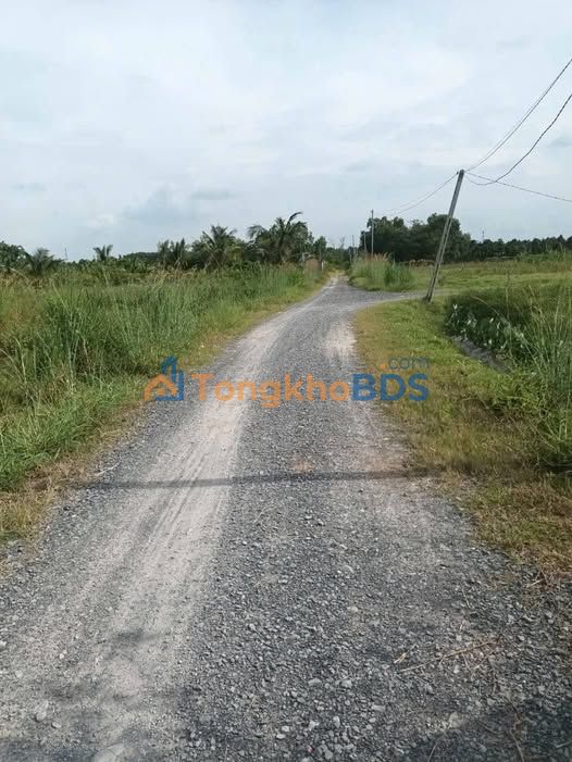 Đất thổ cư 400m² ấp Cây Xoài, Trảng Bàng, Tây Ninh - Giá 2.25 tỷ, còn thương lượng