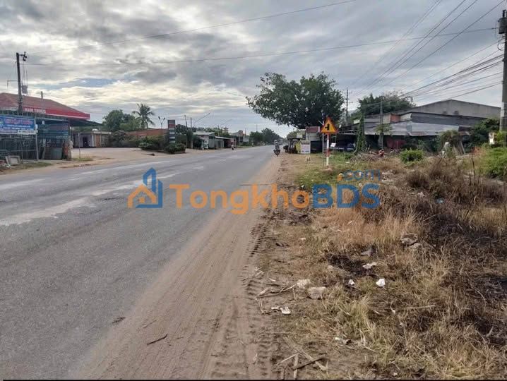 Đất Vàng Tân Phú, Tây Ninh: 520m² - Cơ Hội Đầu Tư Vượt Trội