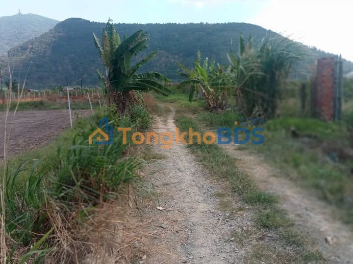 Đất nền Thạnh Tân Tây Ninh 1.045m² 860 triệu - Sổ đỏ chính chủ