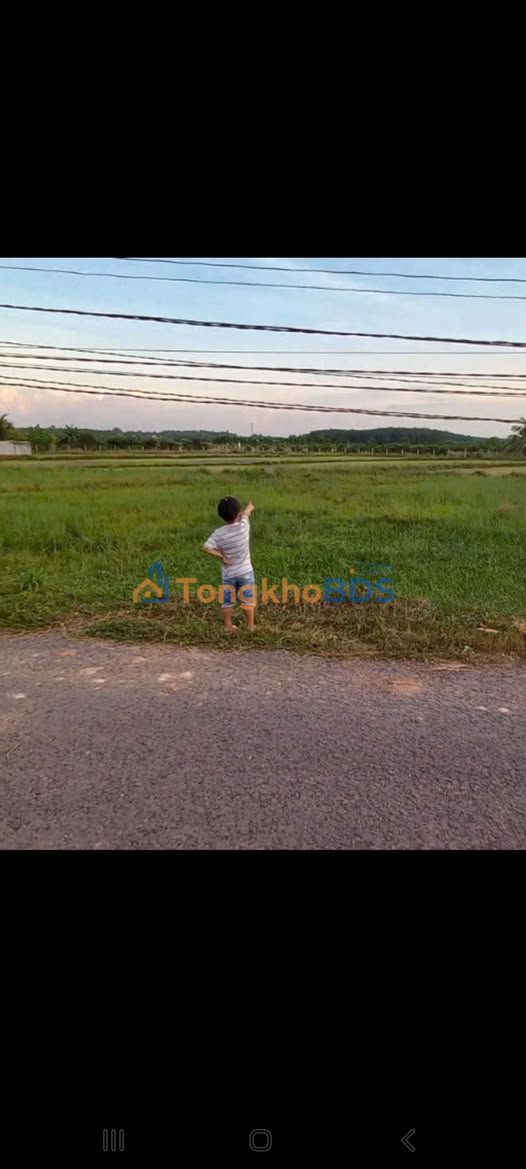 Đất KP Thanh Thuận Hòa Thành 1.230m² 1,1 tỷ - Sổ đỏ chính chủ