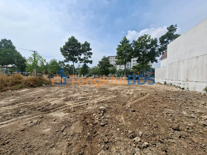 Đất 3MT Trường Chinh Tây Ninh 1.474m² - Đường to ô tô