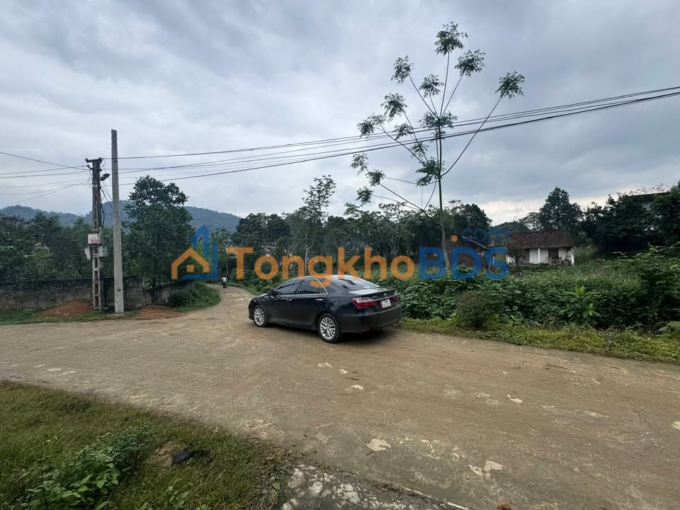 Đất Cẩm Quý Thanh Hóa 1.000m² dưới 500 triệu - Tiềm năng tăng giá