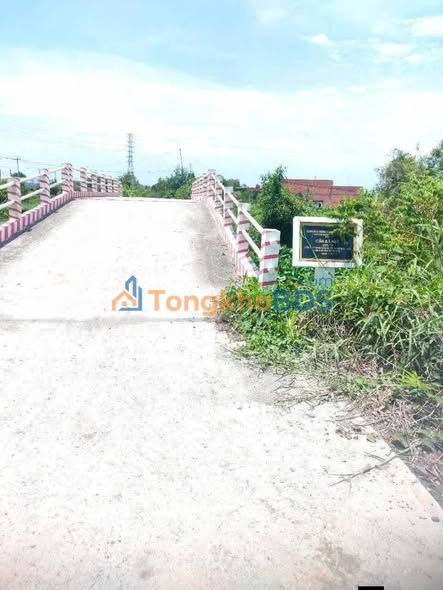 Đất vườn Bến Lức 9.000m² 3.5 tỷ - Sổ đỏ chính chủ