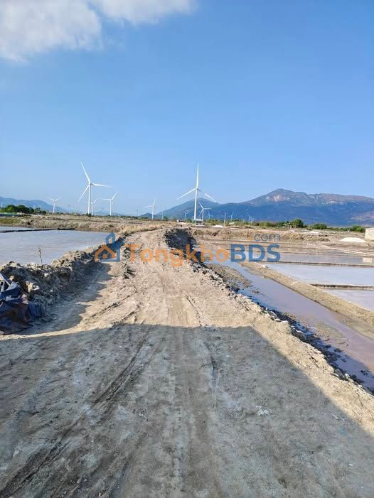 Đất vườn Phương Cửu Ninh Hải 10000m2 3,35 tỷ - Đầu tư dài hạn