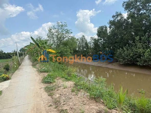 Đất nền Mỹ Thuận Bình Minh 2000m² 700tr - Sổ đỏ chính chủ