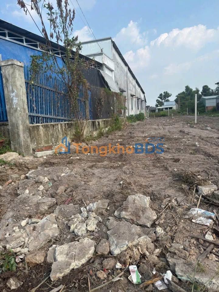 Đất Nền Châu Thành Tây Ninh 100m² - Mặt Tiền Bê Tông Giá 520 Triệu