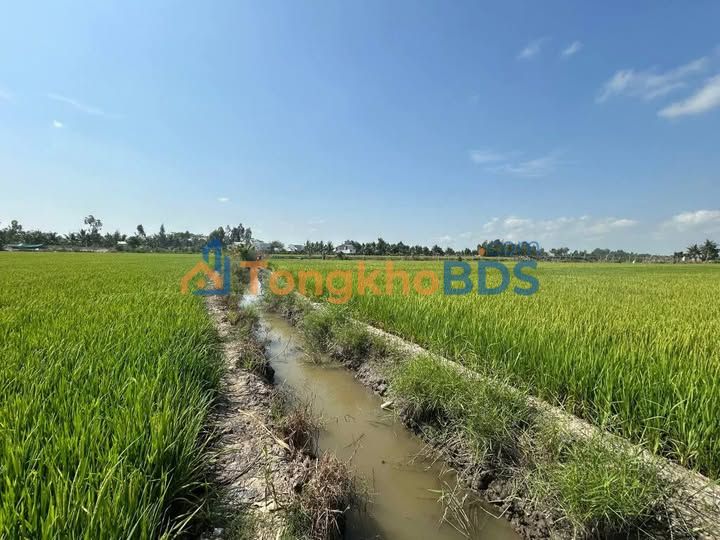 Đất Vườn 3600m² Tỉnh An Giang - Sổ Hồng Rõ Ràng, Giá Đầu Tư