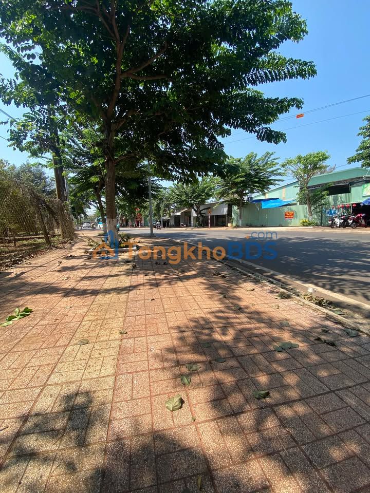 Bán Đất Long Khánh 200m² Sổ Riêng MT Nhựa - Giá 8xx Triệu