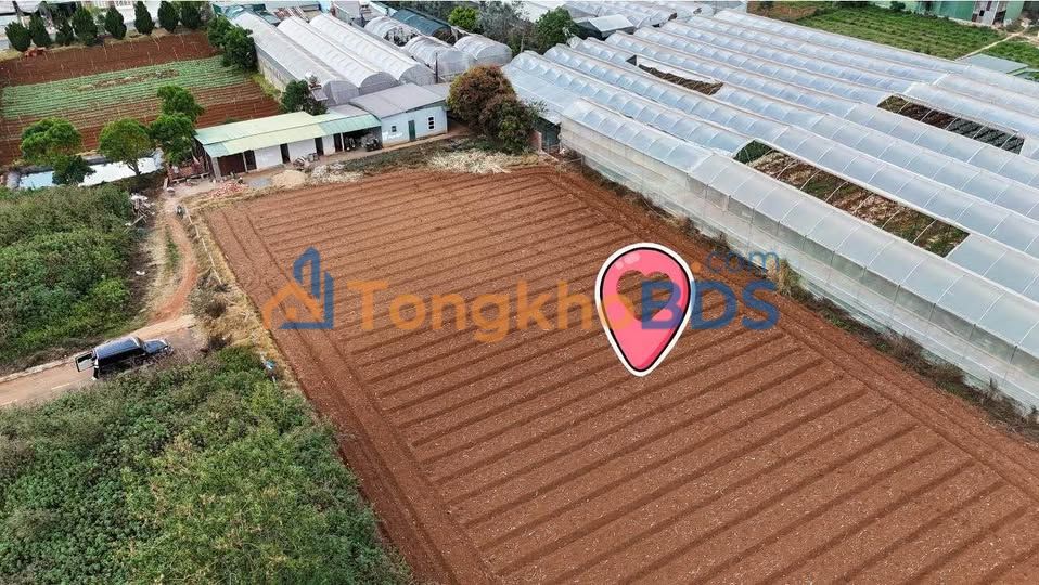 Đất Tà Nung Đà Lạt 4.000m² 32 tỷ - Sổ đỏ chính chủ