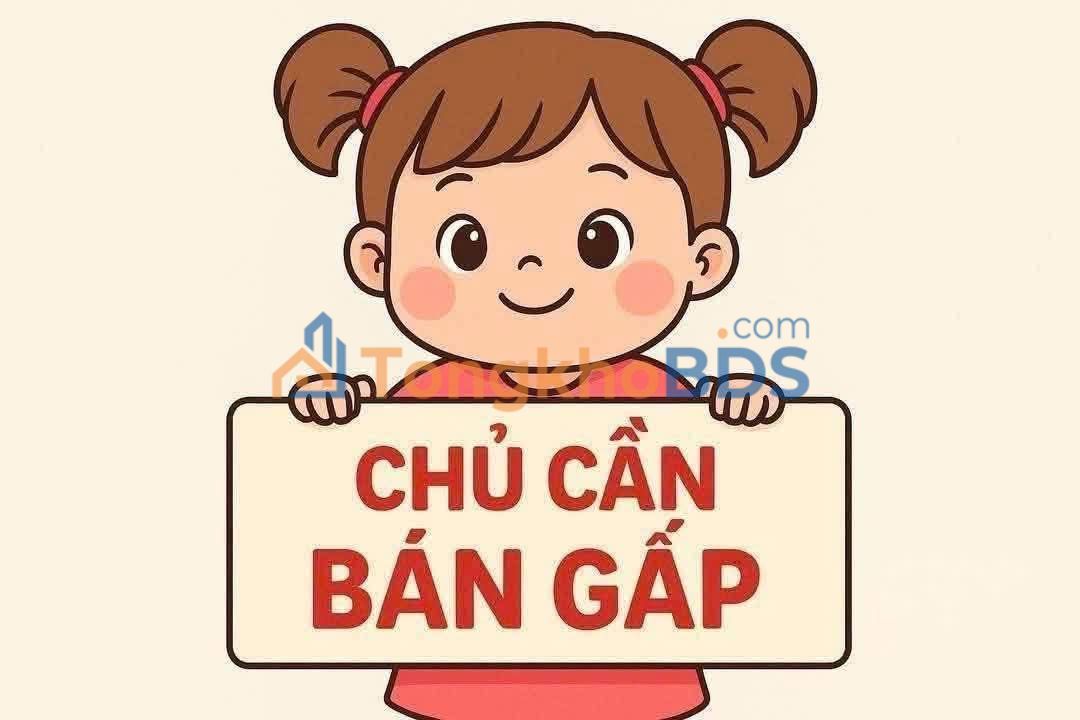 Đất Nền Phú Thanh, Biên Hòa - 247m² Full Thổ Cư, Sổ Hồng Giá 4.2 Tỷ