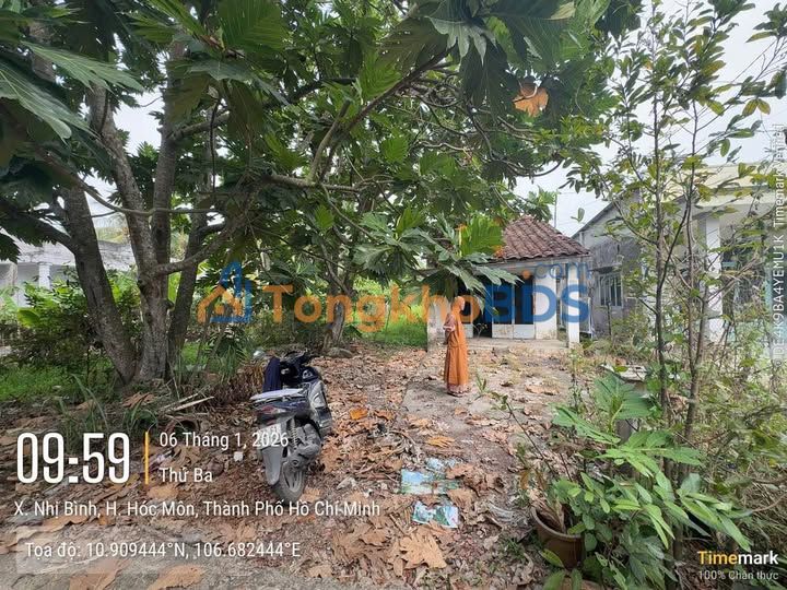 Nhà riêng Xã Nhị Bình 300m² 3.6 tỷ - Chính chủ bán