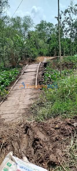 Đất Nền Hậu Giang 3250m² Giá 1.85 Tỷ - Sổ Đỏ Rõ Ràng