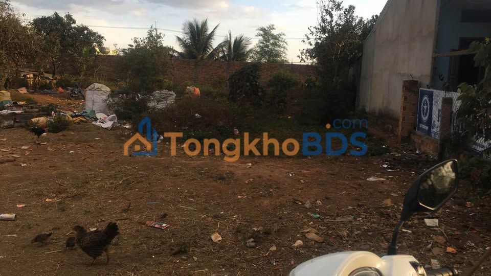 Đất nền Pleiku Dã Tượng 185m² giá 9xx - Đường ô tô 12m