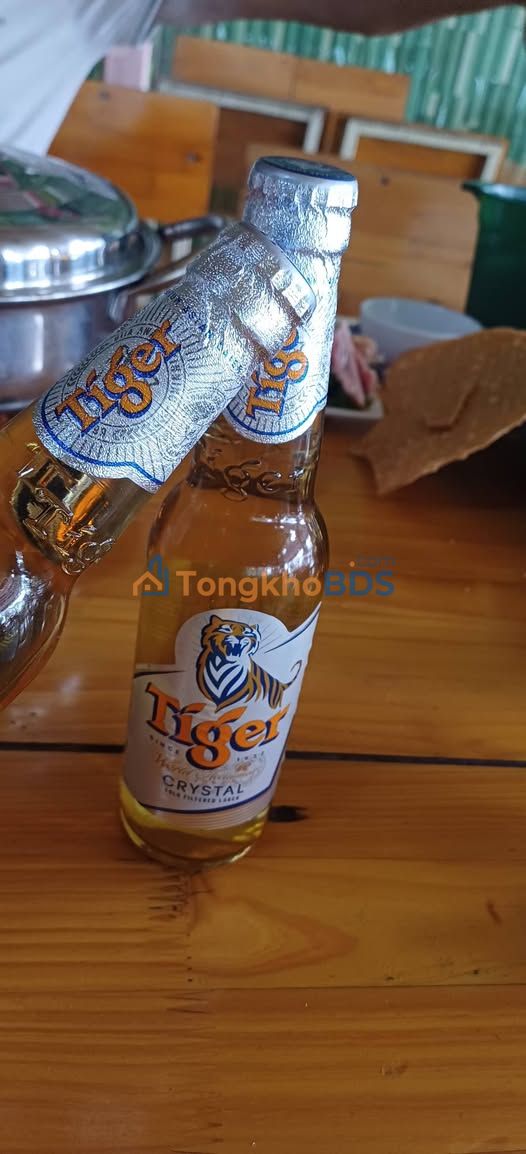 Nhà cấp 4 Quảng Cát 125m² - Chính chủ bán gấp