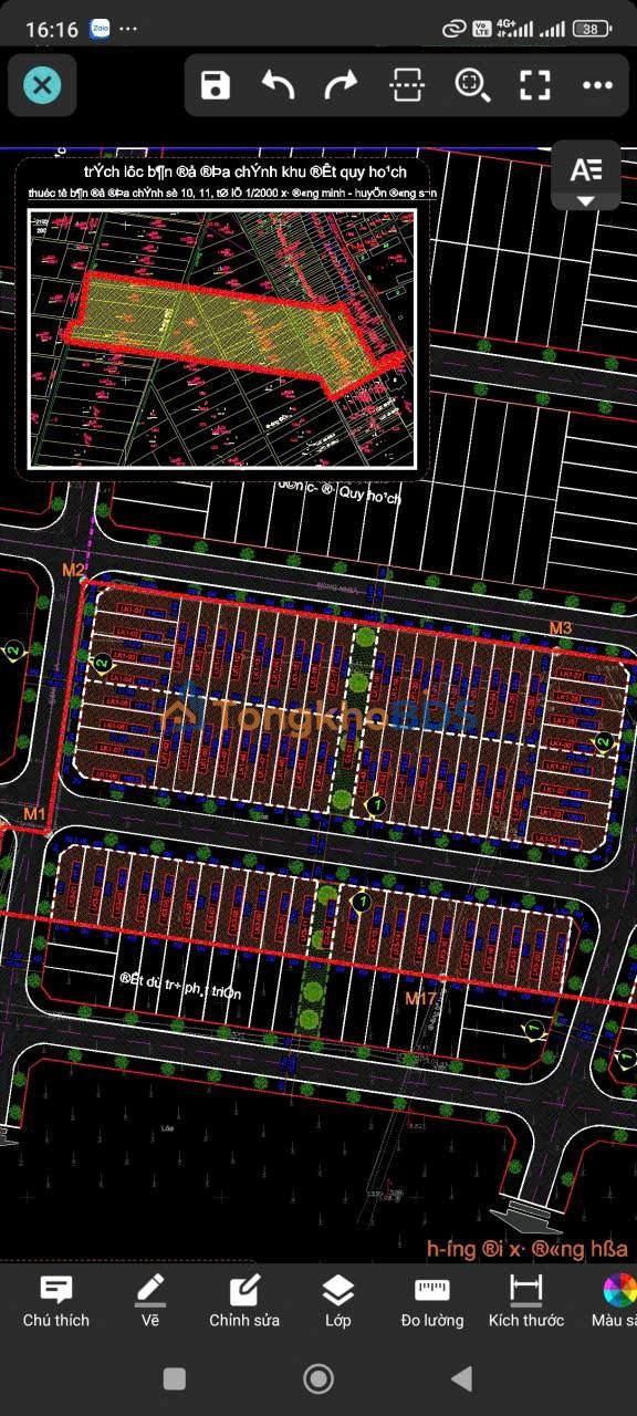 Đất nền Đông Minh Thanh Hóa 124m² giá 1 tỷ - Xây dựng tự do