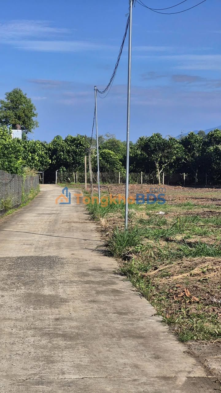 Đất nền Bình Lộc Long Khánh 205m² 1,65 tỷ - Sổ đỏ chính chủ