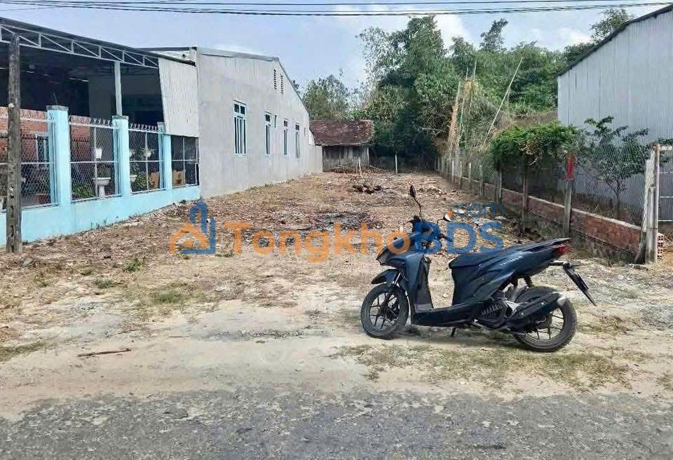 Đất Sổ Hồng Riêng 255m² Mặt Tiền 12m Gần Chợ Cầu Xe, Biên Hòa