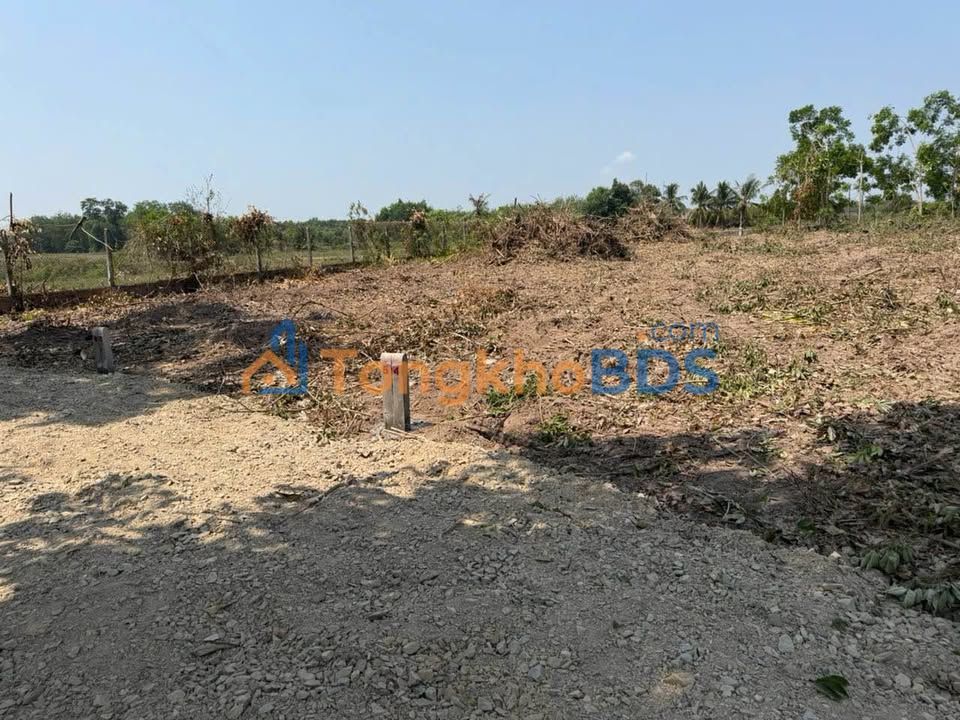 Đất nền Tân Phú Tân Châu 250m² giá 200 triệu - Sổ đỏ chính chủ