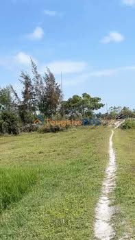 Đất nền Hòa Phú Đà Nẵng 251m² 1,55 tỷ - Sổ đỏ chính chủ