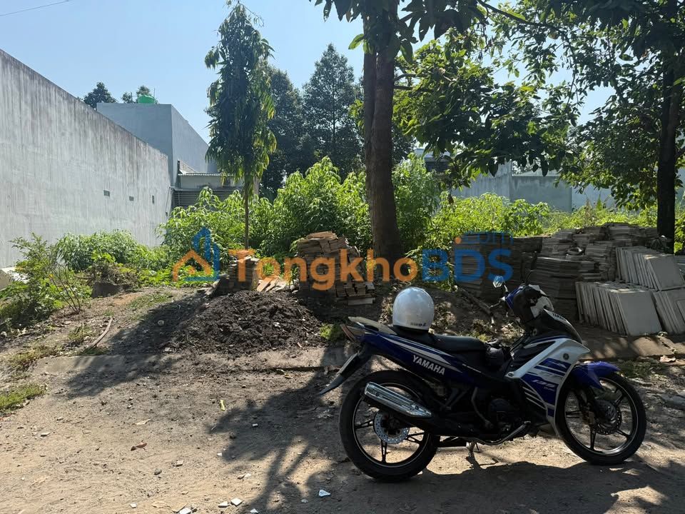 Đất nền Đường 9 Bến Lức 80m² 2.05 tỷ - Sổ đỏ chính chủ