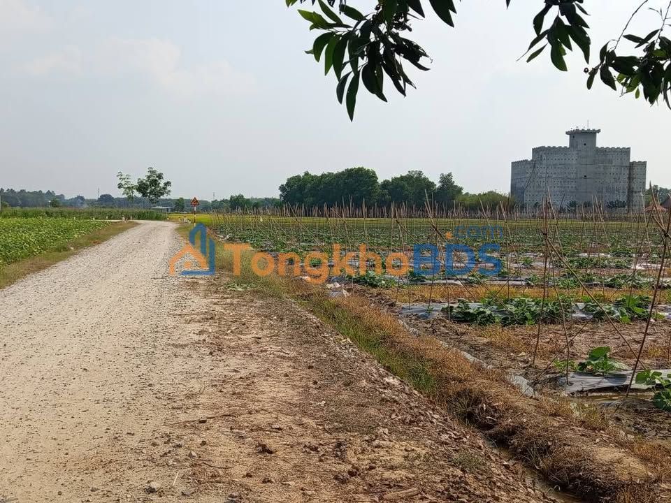 Đất nền Bình Linh Tây Ninh 1.500m² 479 triệu - Sổ đỏ chính chủ