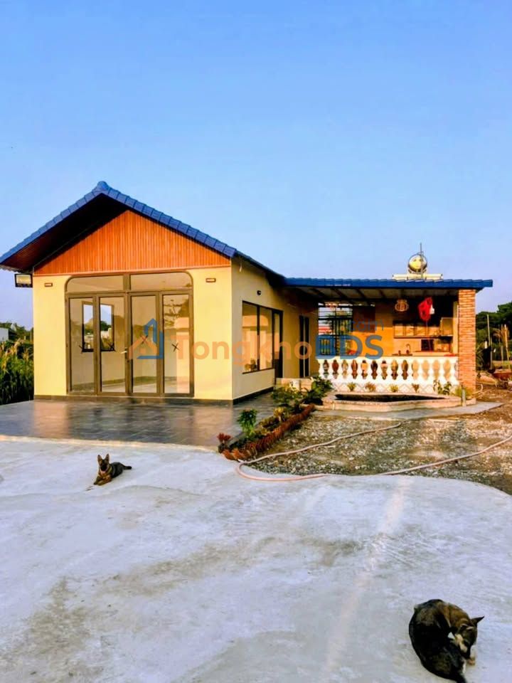 Nhà vườn Mỹ Hạnh Nam Đức Hòa 1500m² 4 tỷ - Ô tử vào tận nhà