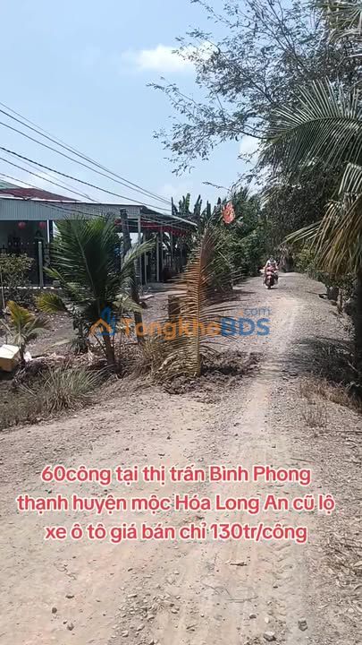 Đất nền Bình Phong Thạnh Long An 60000m² 7.8 tỷ - Sổ đỏ chính chủ