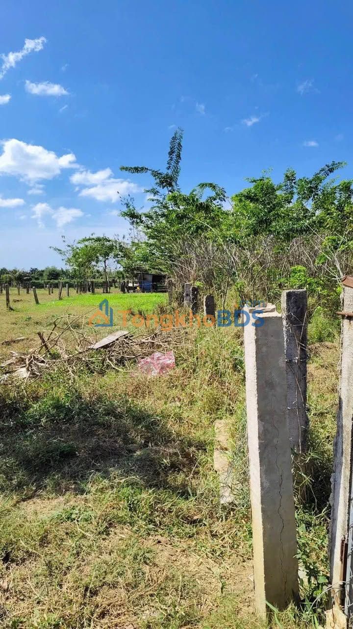 Đất vườn Ma Lâm 1.400m2 290 triệu - Nghỉ dưỡng sinh thái