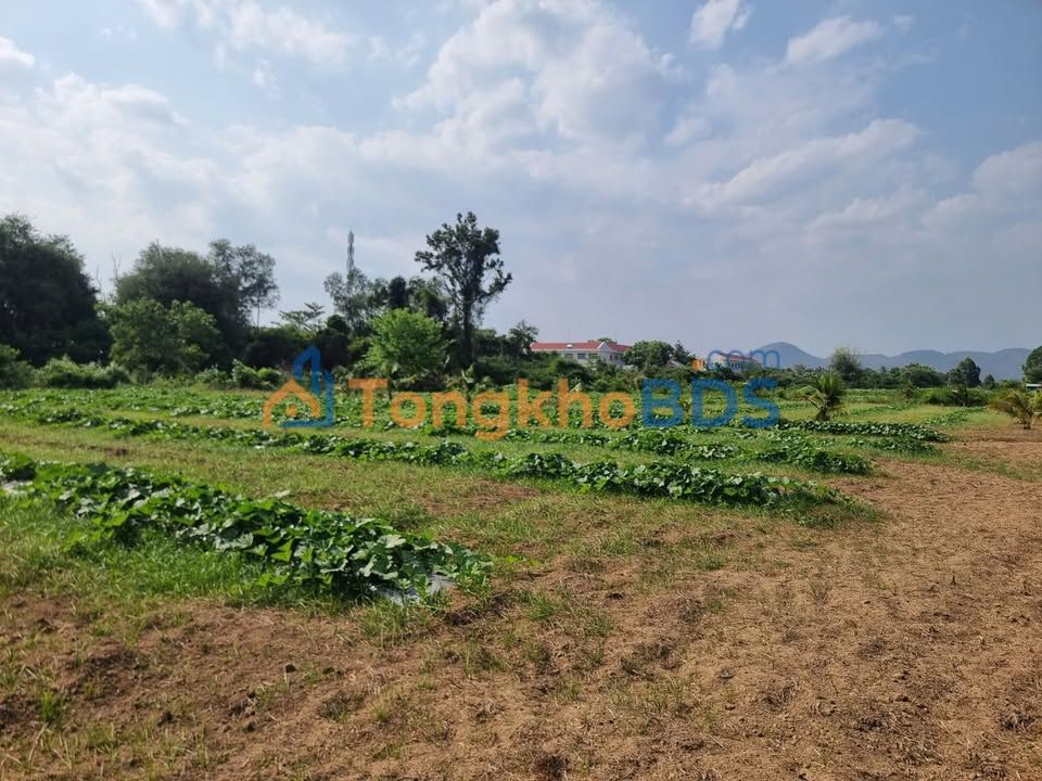 Đất nền Ma Lâm 1.400m² giá 290 triệu - Sổ đỏ chính chủ