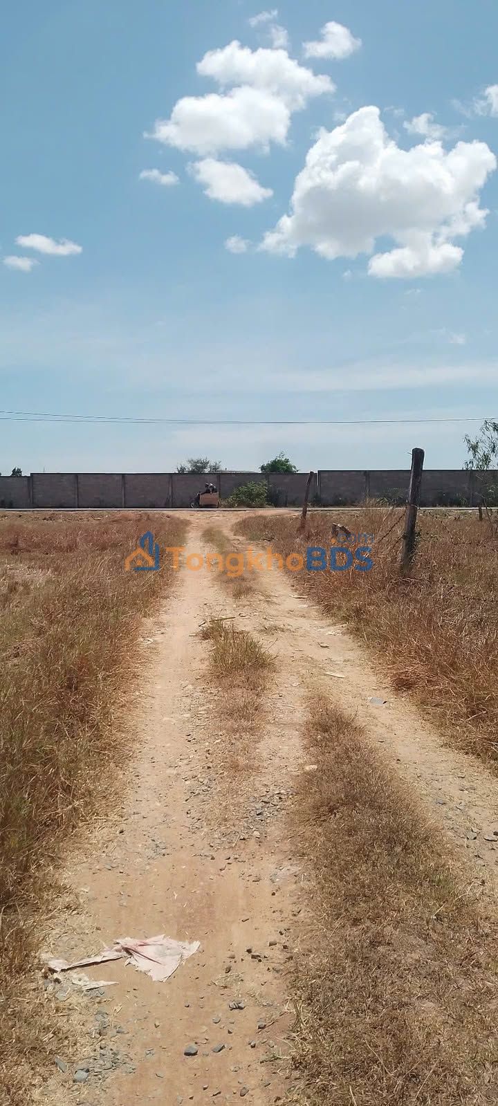 Bán Gấp Đất Vườn 2000m² Tại Hàm Mỹ, Bình Thuận - Sẵn Sàng Thu Hoạch