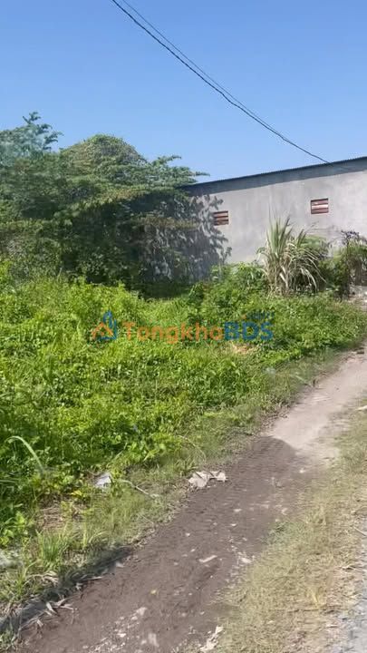 Đất thổ cư Long Thới Nhà Bè 150m² giá 1,4 tỷ - Sổ đỏ chính chủ