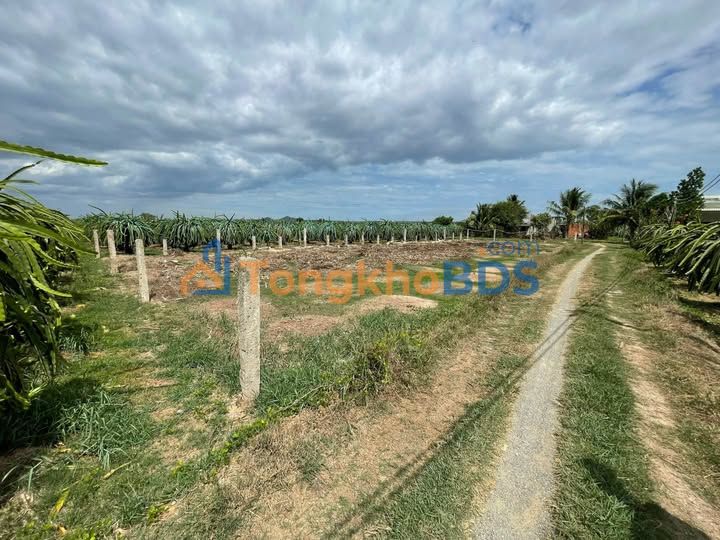 Đất nền Hàm Cường 581m² 650 triệu - Sổ đỏ chính chủ