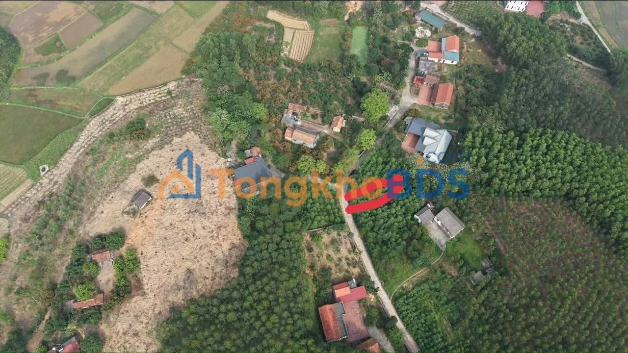 Đất nền Tân Hiệp, Yên Thế, Bắc Giang - 201m² - Sổ đỏ sẵn sàng