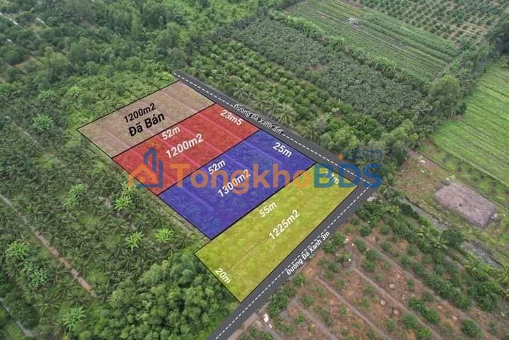 Đất nền Thạnh Hòa Bến Lức 1.300m² 702 triệu - Giá F0 CĐT