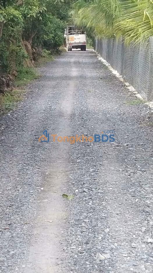 Đất Vườn Bến Tre 2461m² - Sẵn Sổ, Xe Hơi Tới Đất