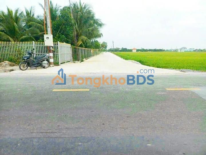 Đất thổ cư Bình Tịnh Long An 467m² giá 1.5 tỷ – Sổ hồng chính chủ sẵn giao dịch
