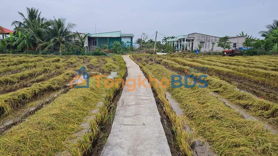 Đất nền Phước Đông, Cần Đước 160m² 415tr - Sổ đỏ