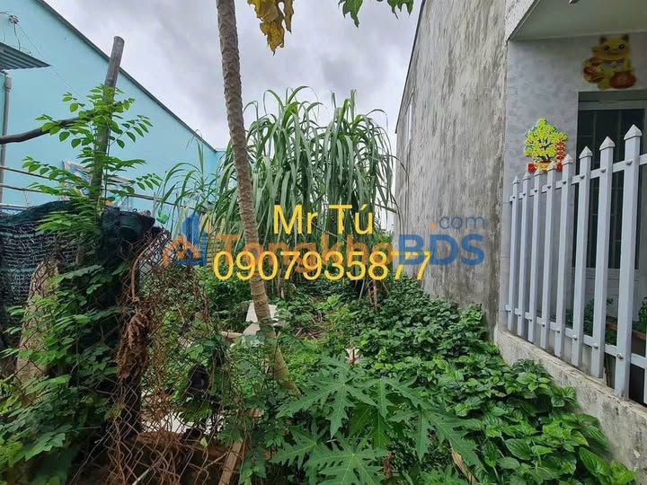 Đất Nguyễn Tất Thành Sa Đéc 74m²/950tr - Sổ đỏ chính chủ