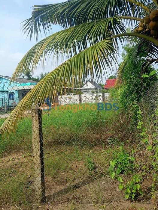 Bán đất thổ cư 147m² hẻm ô tô Bùi Tấn, Tân An - Sổ đỏ sẵn sàng